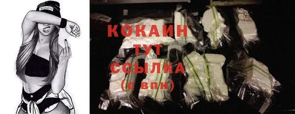 крисы Верея