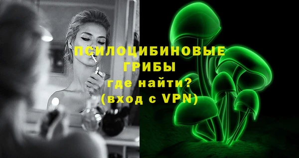 крисы Верея