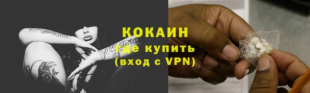 крисы Верея