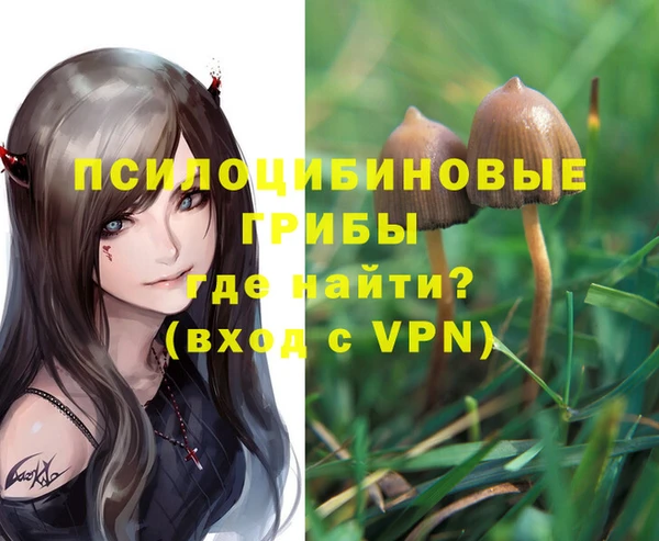 крисы Верея