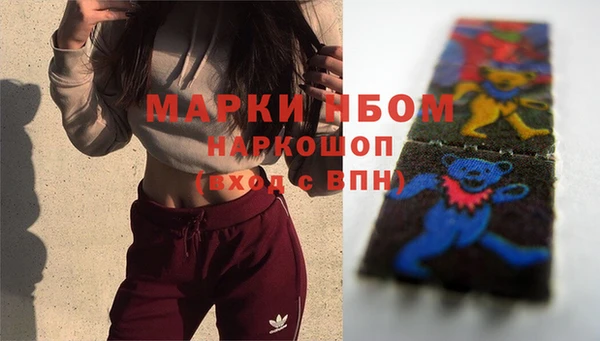 крисы Верея