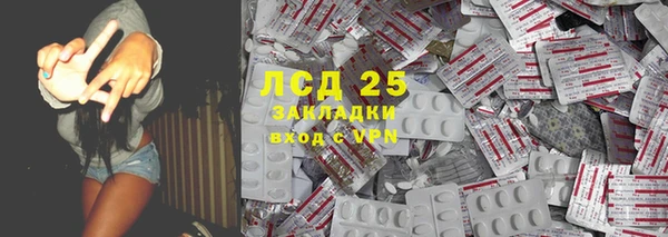 крисы Верея