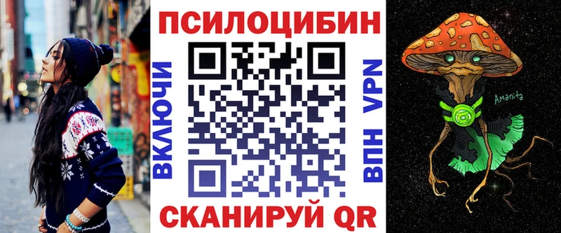 Купить закладки  Аргун  Псилоцибиновые грибы Cubensis 